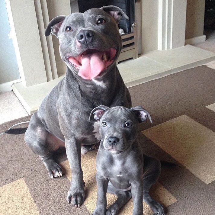 mother baby
