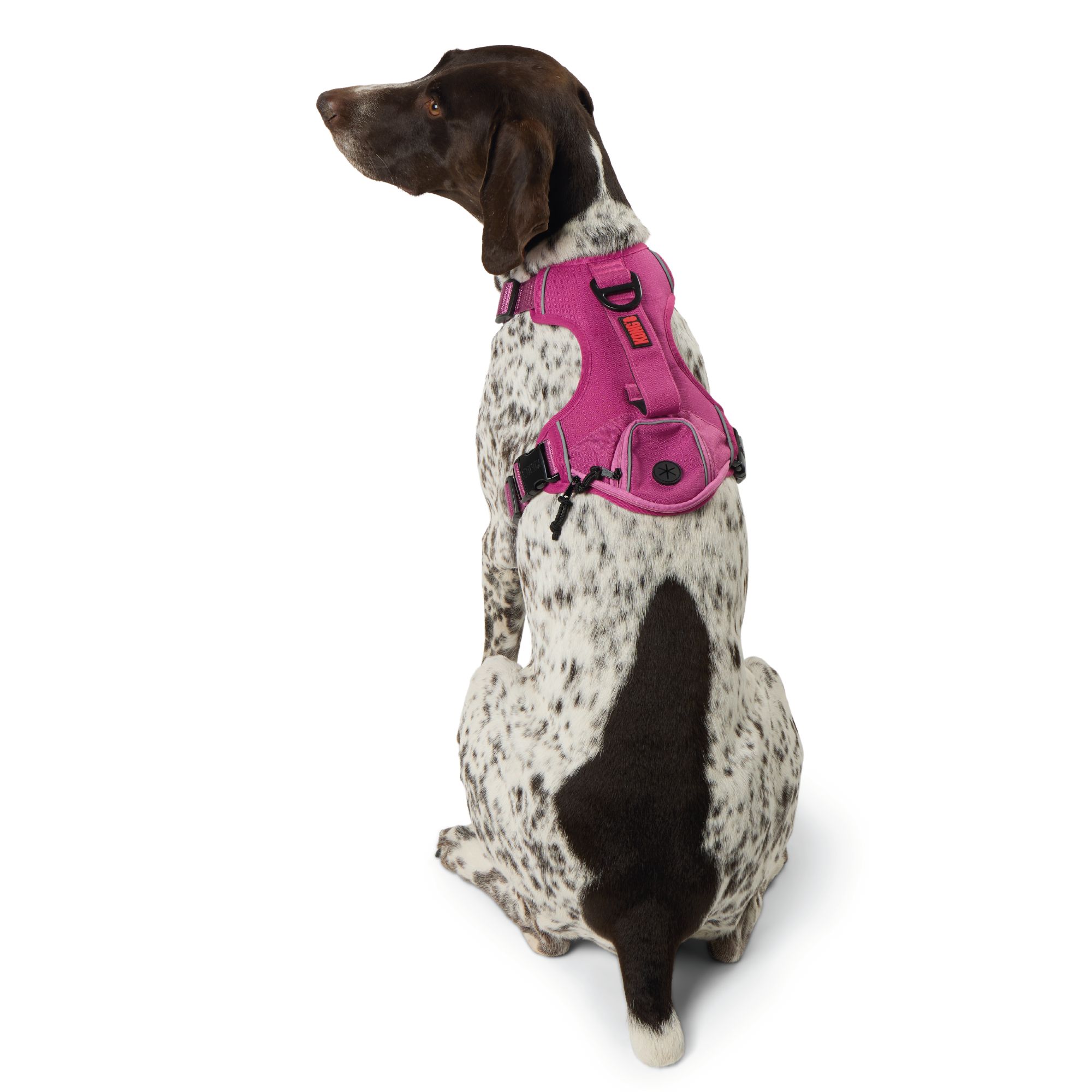 Poop Bag Dog Harness, Waste Bag Holder, Adjustable, 5361016