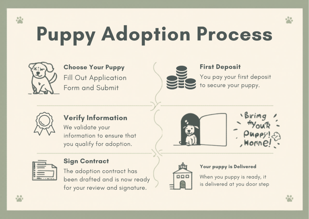 puppy adoption process timeline card (1)